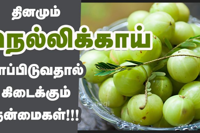 நெல்லிக்காய் மருத்துவ பயன்கள் | Top 10 Health Benefits of Amla | Indian Gooseberry | DheivamTV